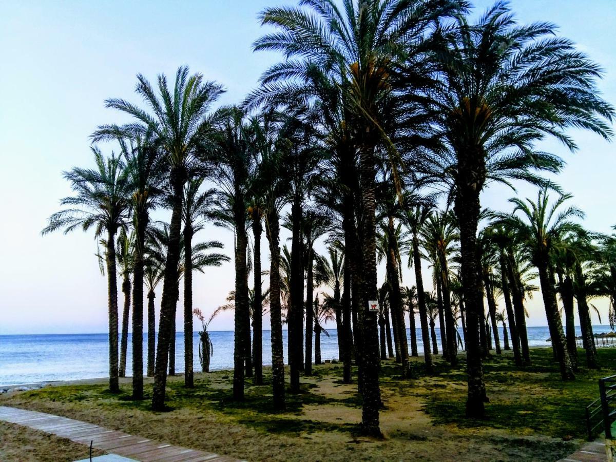 Estudio En 1A Linea Torremolinos Ngoại thất bức ảnh